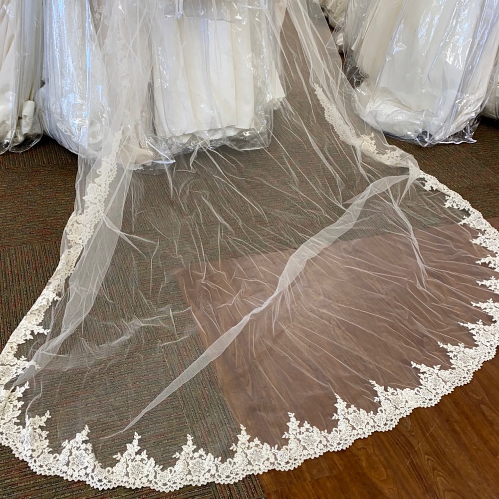 Champagne lace cathedral veil